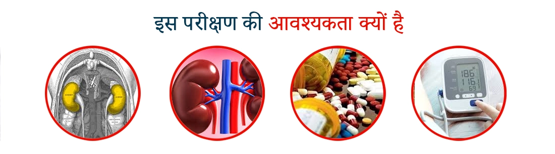 Why Creatinine Test is Required in Hindi
